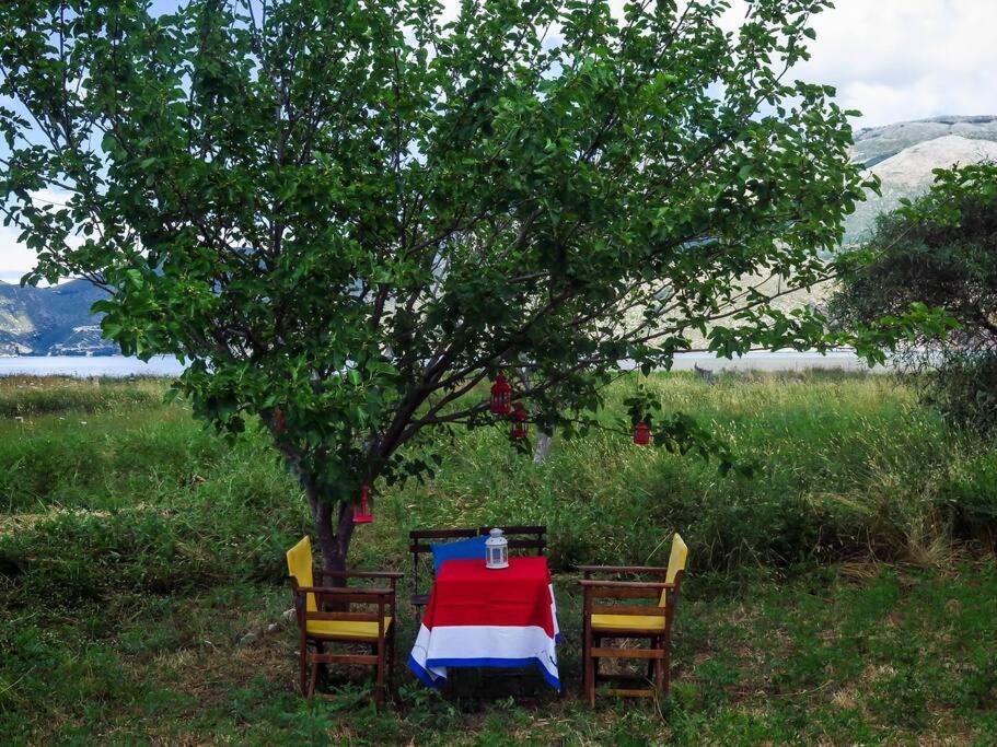 Villa Rania: Ευάερη Βίλα Με Θέα Τη Θάλασσα Lixouri Eksteriør billede