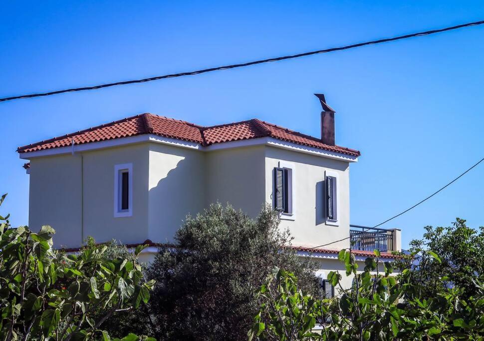 Villa Rania: Ευάερη Βίλα Με Θέα Τη Θάλασσα Lixouri Eksteriør billede