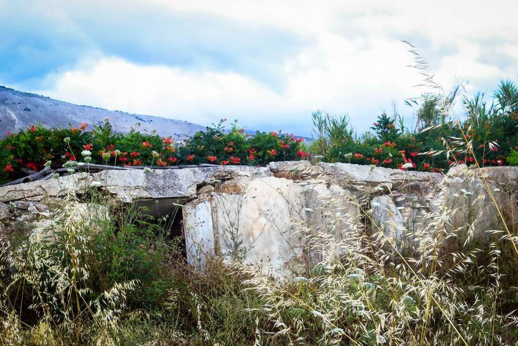 Villa Rania: Ευάερη Βίλα Με Θέα Τη Θάλασσα Lixouri Eksteriør billede