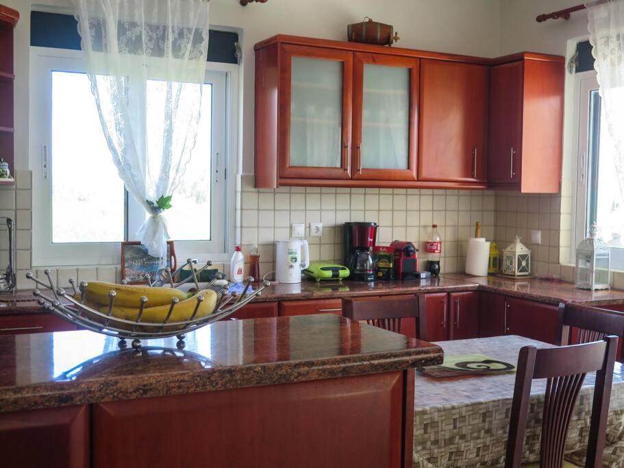 Villa Rania: Ευάερη Βίλα Με Θέα Τη Θάλασσα Lixouri Eksteriør billede