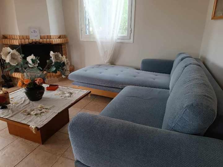 Villa Rania: Ευάερη Βίλα Με Θέα Τη Θάλασσα Lixouri Eksteriør billede